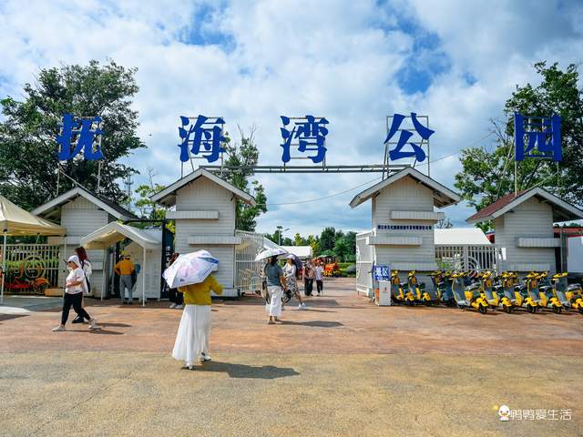 云南秘境抚仙湖抚海湾公园邂逅花与海的浪漫
